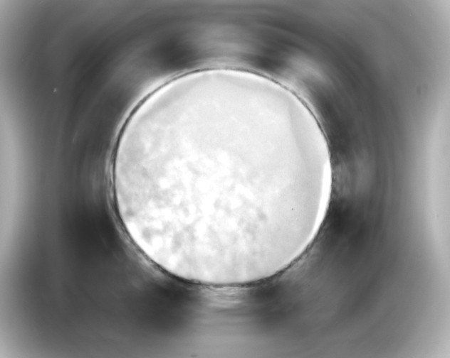 X0000086021150200704091109