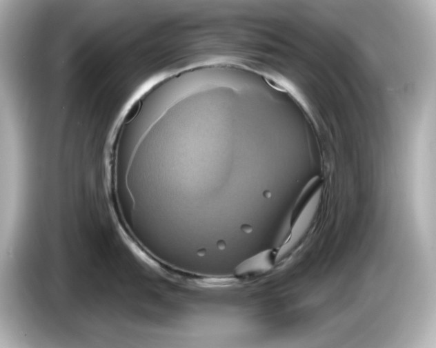 X0000086021151200704091109