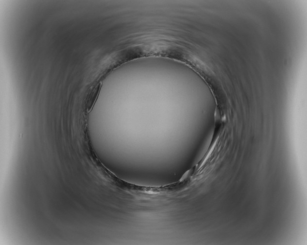 X0000086021153200704091108