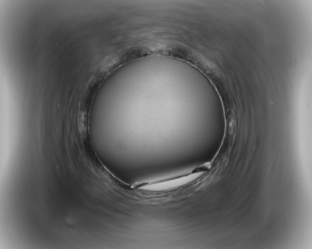 X0000086021156200704091108