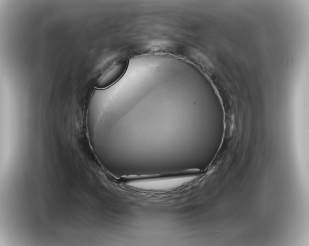 X0000086021158200704091108