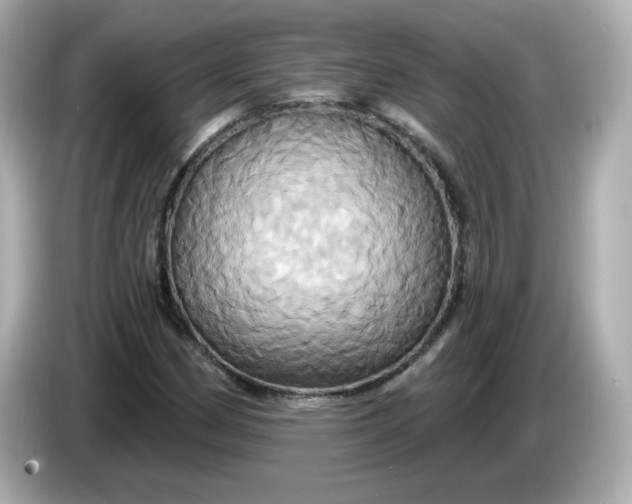 X0000086021162200704091108