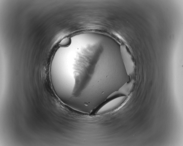 X0000086021163200704091108