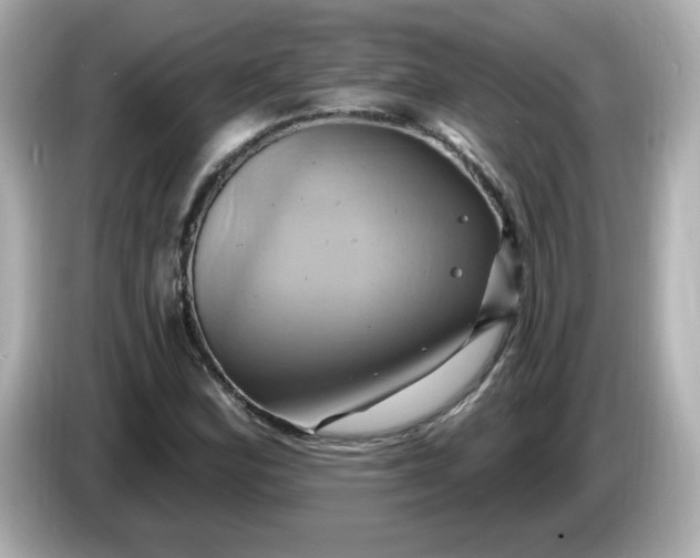 X0000086021164200704091108