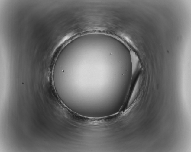 X0000086021165200704091108