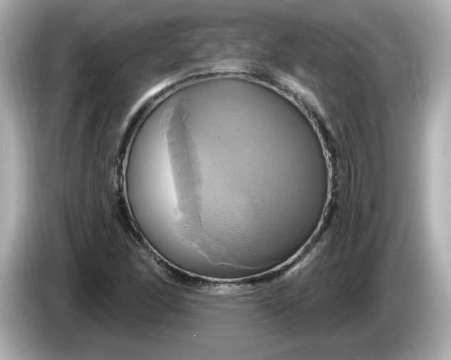 X0000086021166200704091108