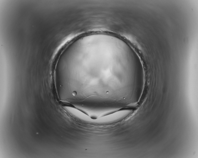 X0000086021167200704091108