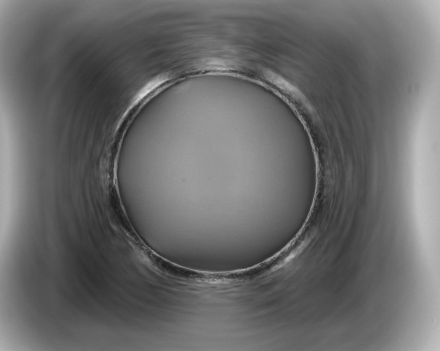 X0000086021170200704091108