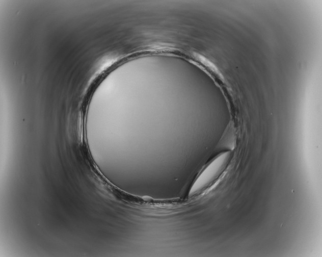 X0000086021171200704091108