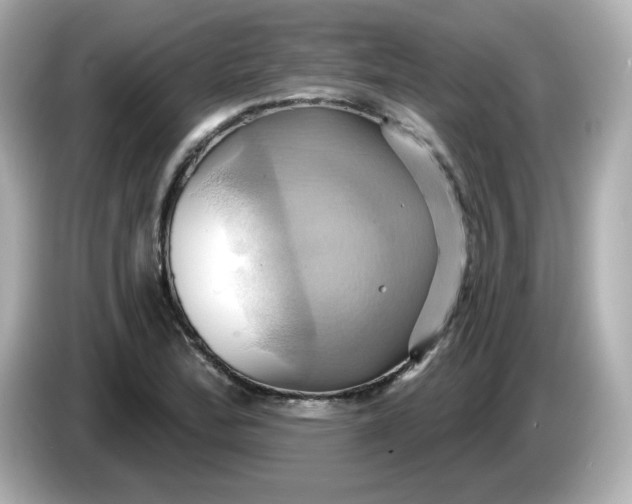 X0000086021172200704091108