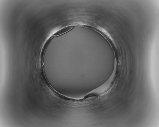 X0000086021173200704091108