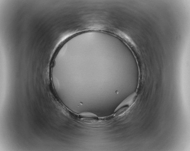 X0000086021174200704091108