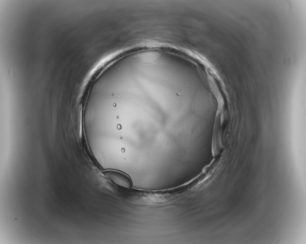 X0000086021175200704091108