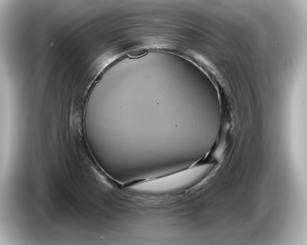 X0000086021177200704091108