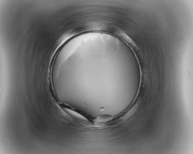 X0000086021178200704091108