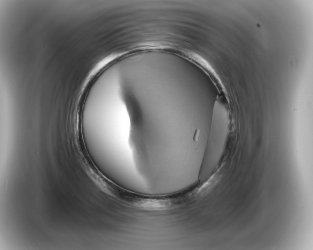 X0000086021179200704091108