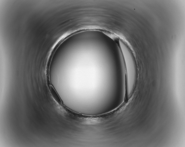 X0000086021181200704091108