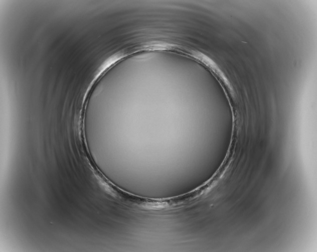 X0000086021186200704091108