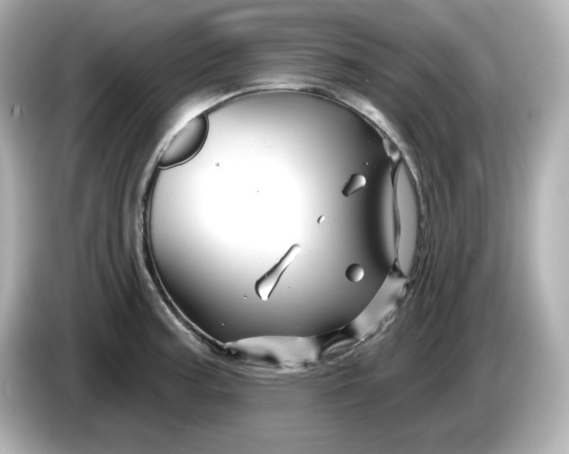 X0000086021187200704091108