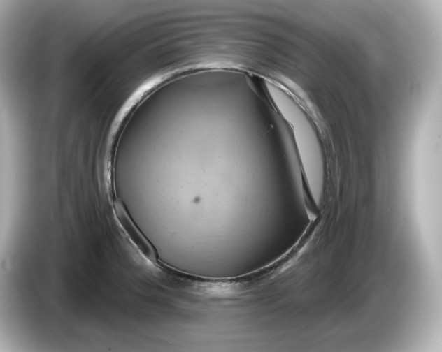 X0000086021188200704091108