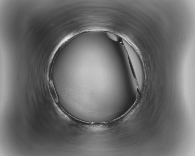 X0000086021189200704091108
