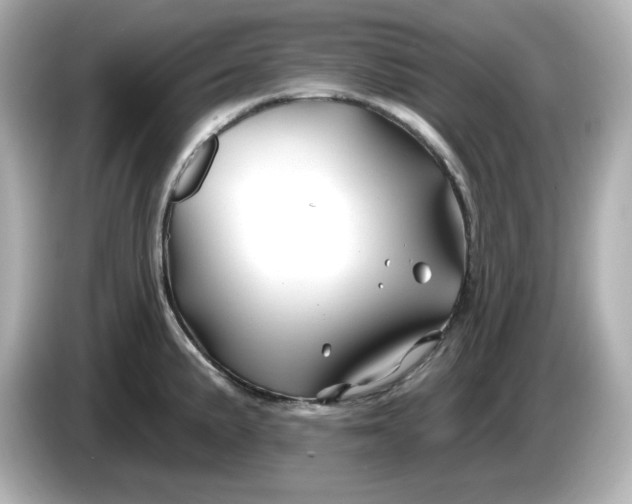 X0000086021191200704091108