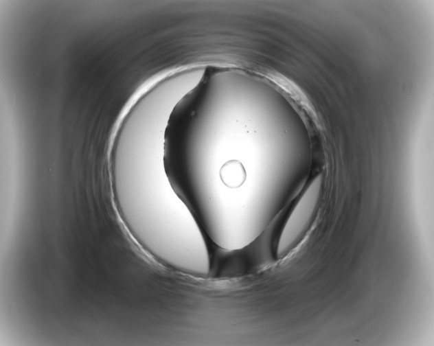 X0000086021192200704091108