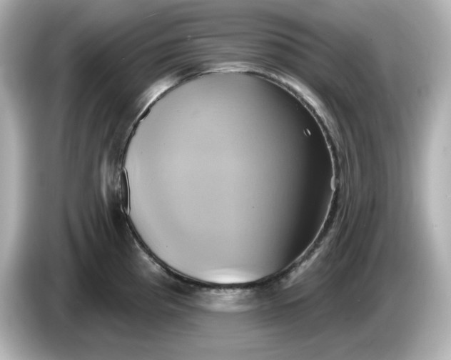 X0000086021193200704091108