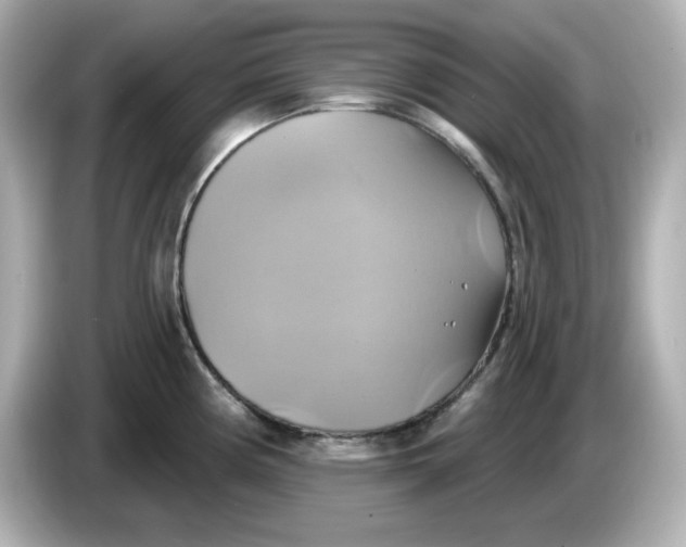 X0000086021194200704091108