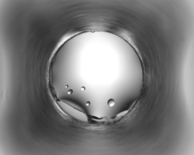X0000086021195200704091108