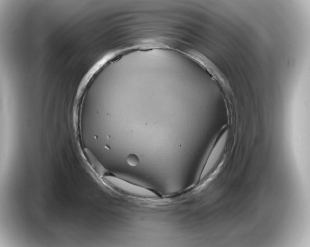 X0000086021196200704091108