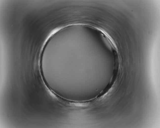 X0000086021197200704091108