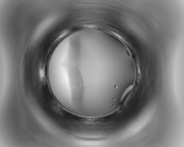X0000086021198200704091108