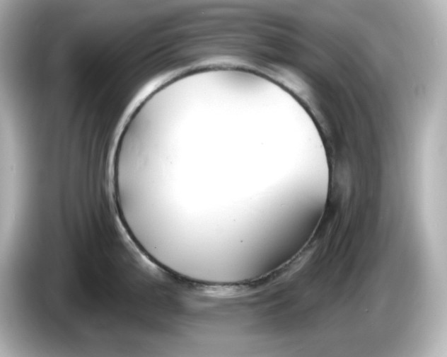 X0000086021199200704091108