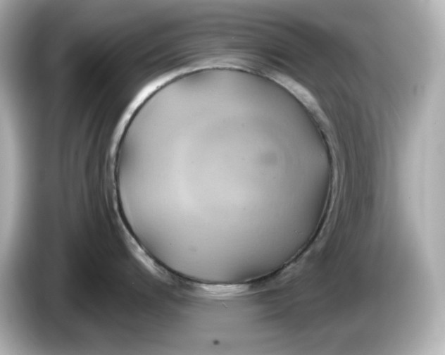 X0000086021200200704091108