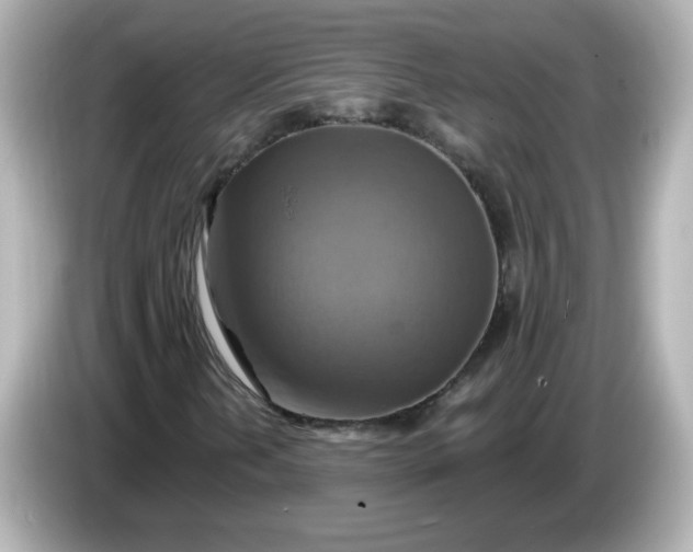 X0000086021202200704091107