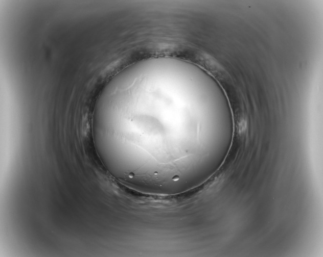 X0000086021204200704091107