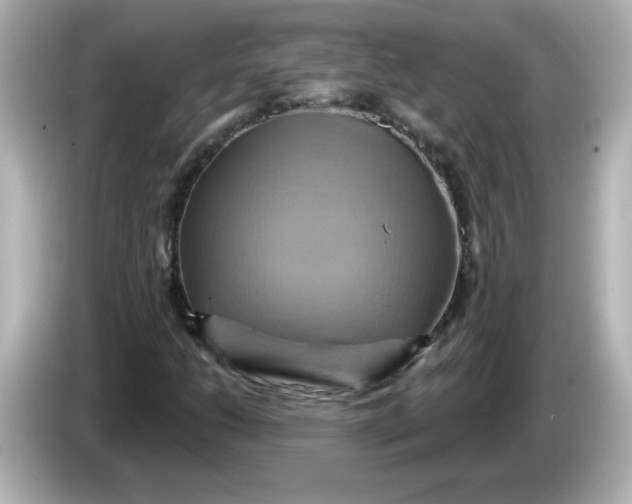 X0000086021206200704091107