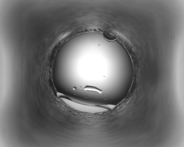 X0000086021207200704091107