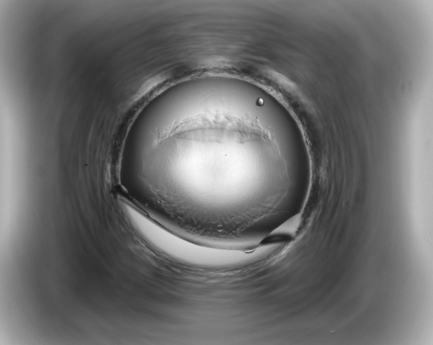 X0000086021209200704091107