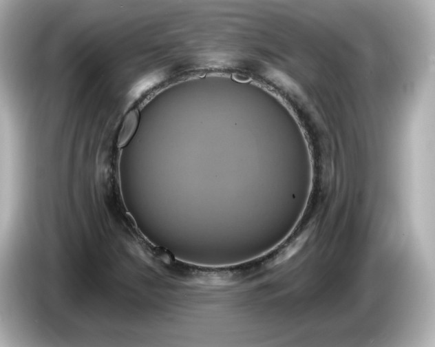X0000086021210200704091107
