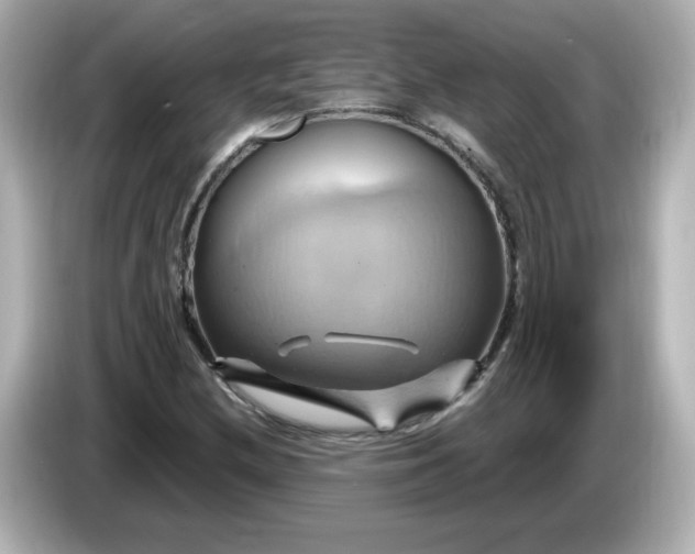 X0000086021212200704091107