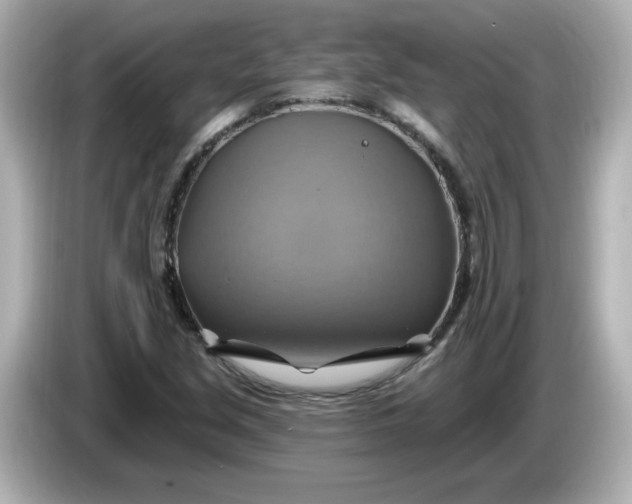 X0000086021213200704091107