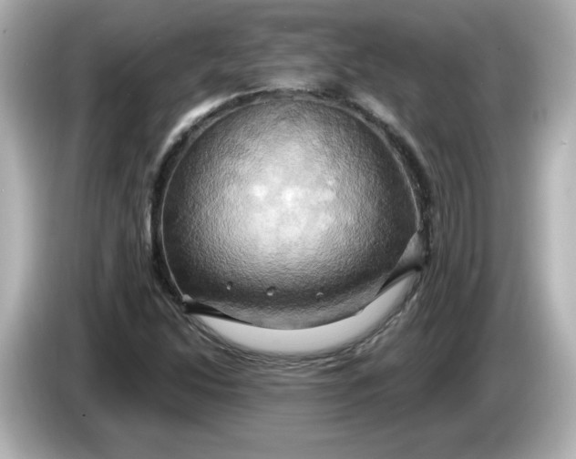 X0000086021214200704091107