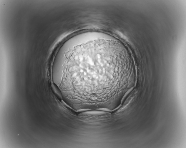 X0000086021215200704091107