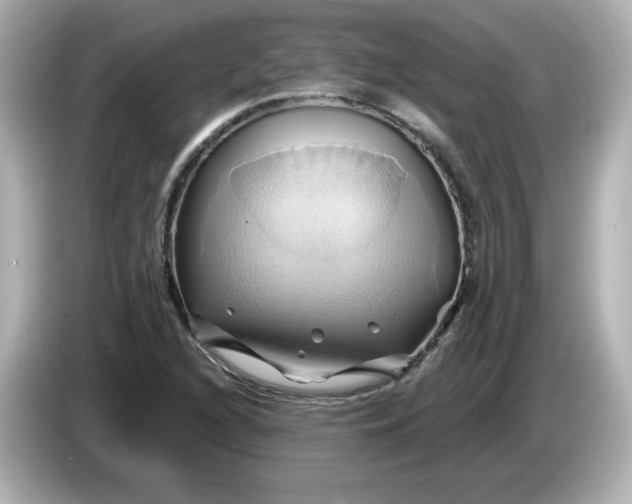 X0000086021216200704091107