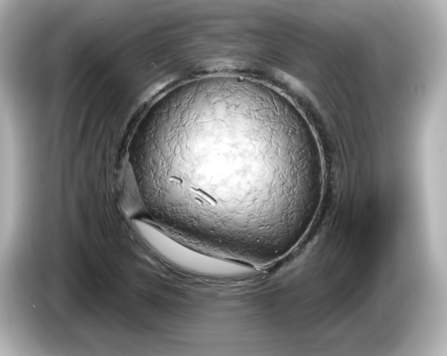 X0000086021217200704091107