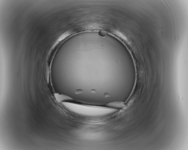 X0000086021219200704091107