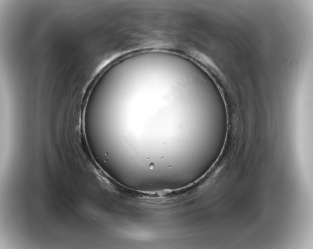 X0000086021220200704091107