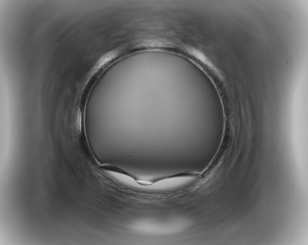 X0000086021221200704091107